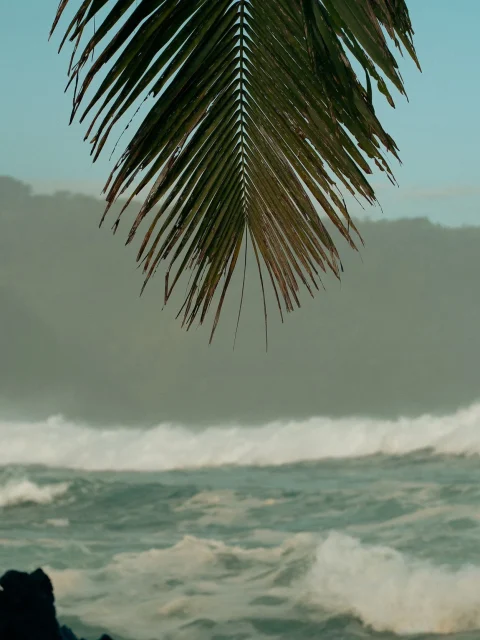 maui-portrait-hero-golden-hour